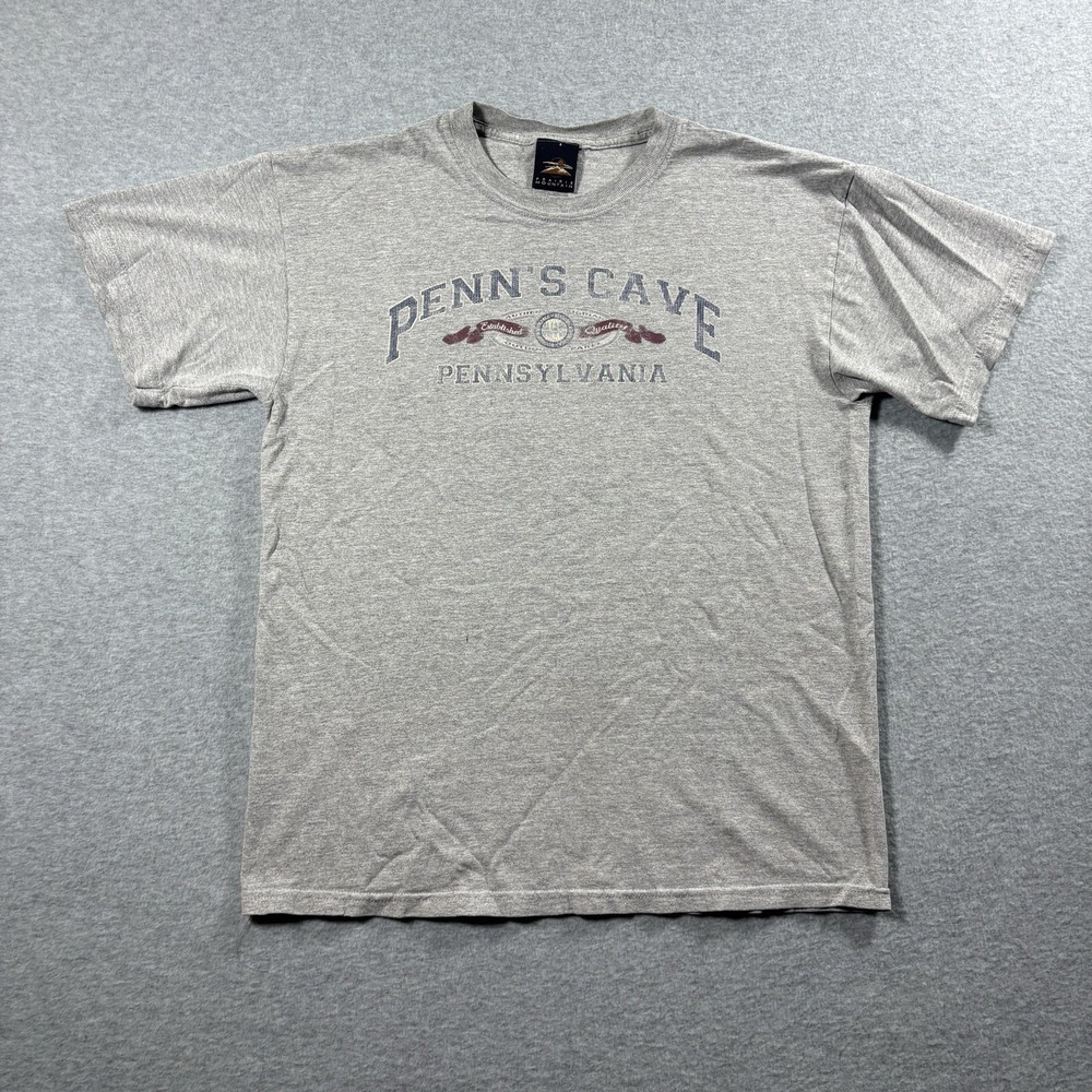 VTG Prairie Mountain Penns Cave Pennsylvania Mens M Gray Nature Distressed Tee